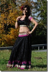 Nisha-Agarwal-Spicy-Photo_navel_sexy