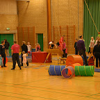 DSC_1381.JPG