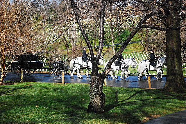 DSC_0092