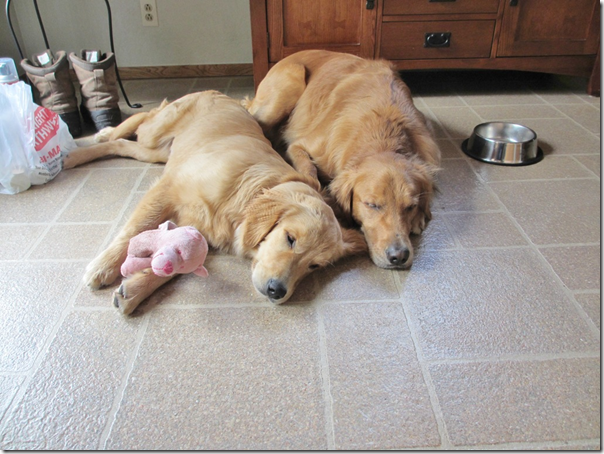 Sleepy4 Sleepy4