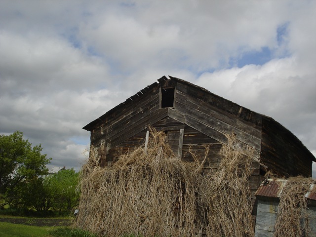 [DSC07492%255B1%255D.jpg]