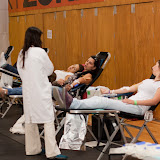 Dádiva de Sangue 2010