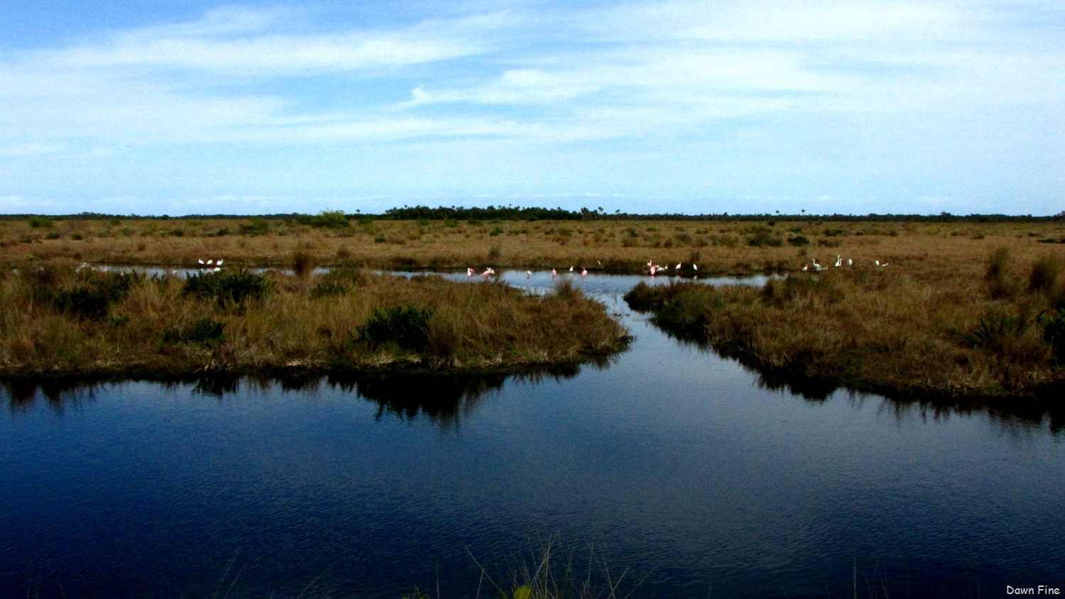 [Gator-and-Pea--2816.jpg]