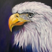 480-adler-nach JENKINS.png