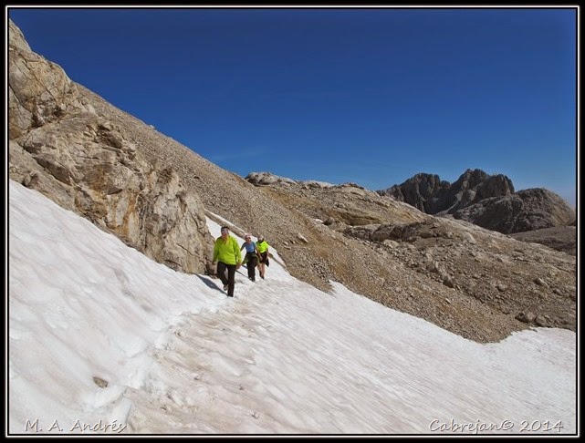 Picos 297 Picos 297