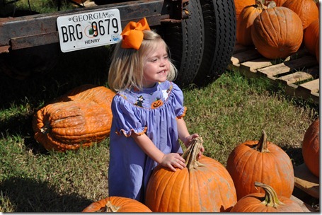 southern belle farm 100611 (72)