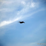 News_090910_Capital Air Show, Thursday