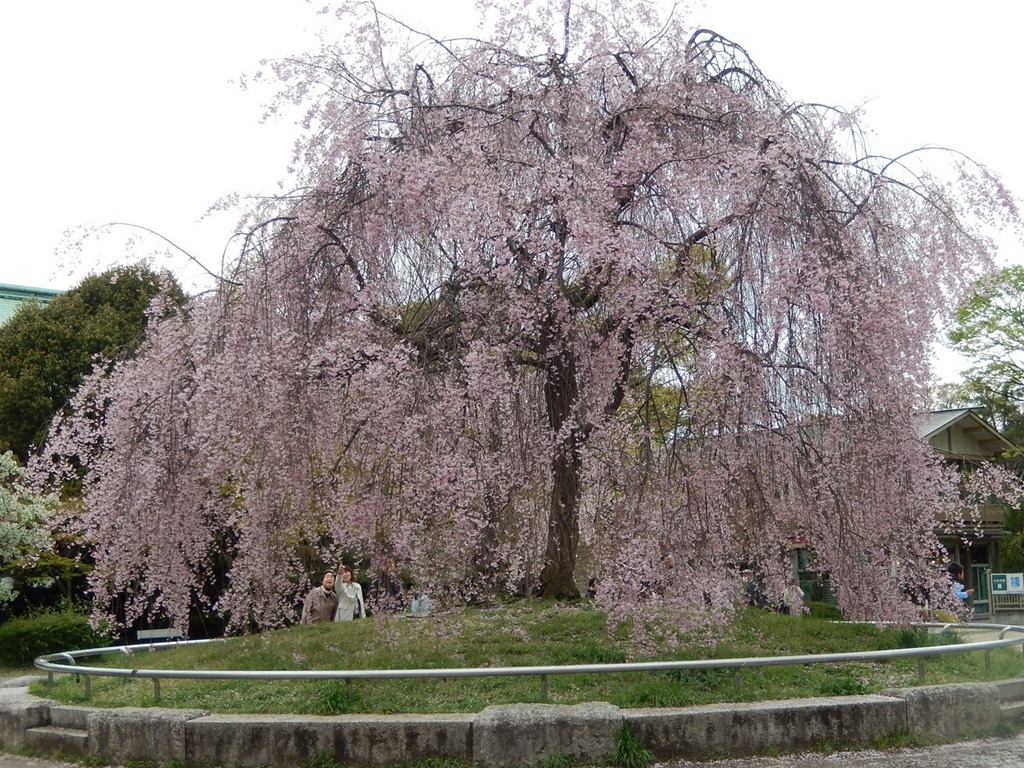 [2013OsakaTrip_Day3_195.jpg]