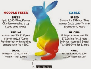 Fiber Bunny.jpg