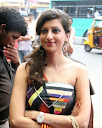 Hamsa Nandini (Gallery 13)