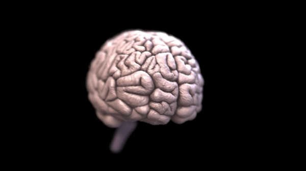 6- O cérebro humano é mais ativo durante o sono do que durante o dia. 6- O cérebro humano é mais ativo durante o sono do que durante o dia.