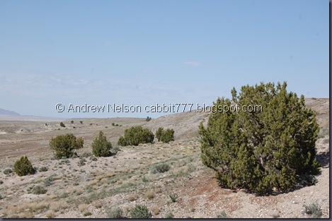 DSC_0569 DSC_0569