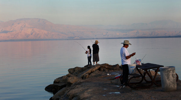 The only catch these days at the Salton Sea, a California lake that is shrinking and growing saltier each year, is tilapia. Monica Almeida / The New York Times