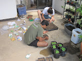 Ro and Josh planting seeds