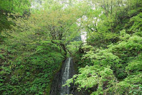 布滝