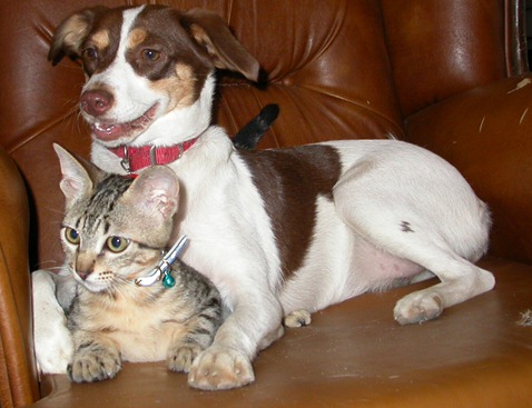 [DSCN5924%255B16%255D.jpg]