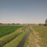 Dongola - Agriculture en bord du Nil (8).JPG