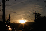 IMG_7455.jpg
