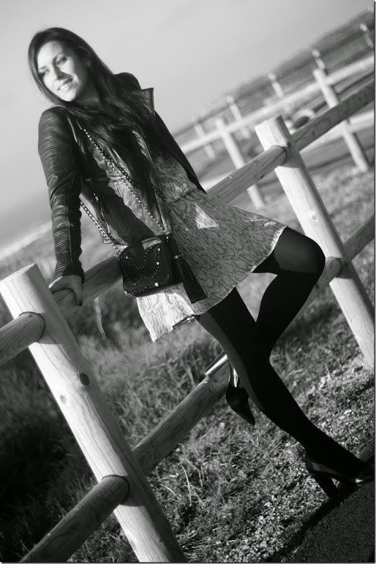 IMG_2148 IMG_2148