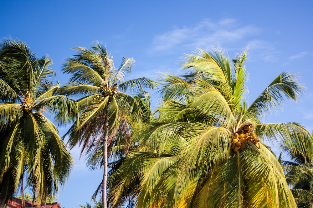 Лангкави, Малайзия - август 2012 (ч.2 - Пляжи)