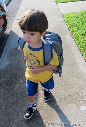 IMG_0453 IMG_0453