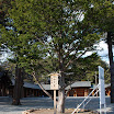 hokkaido_803.jpg