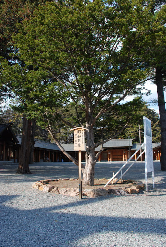 hokkaido_803.jpg