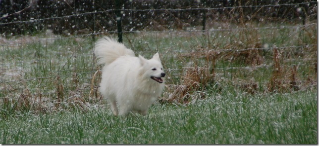 DSC_5502 DSC_5502