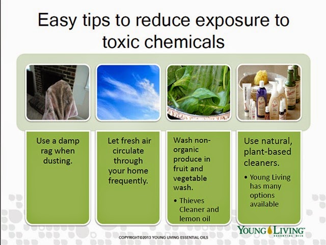 [reduce%2520exposure%2520to%2520toxic%2520chemicals%255B4%255D.jpg]
