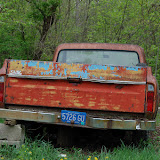 “On Blocks” – copyright David Thompson