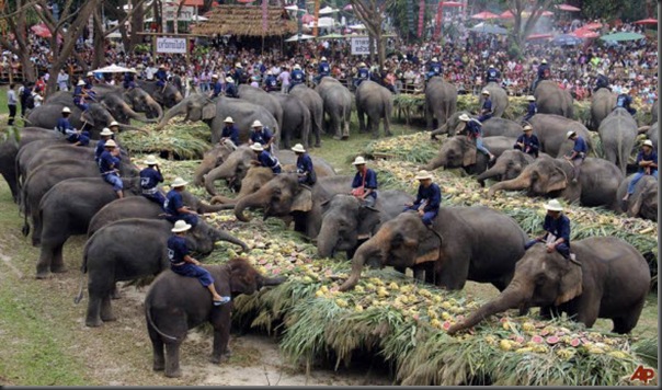 festivalul elefantilor thailanda