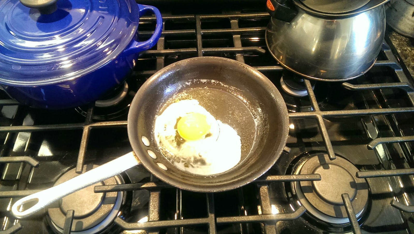 Frying egg Egg LAB