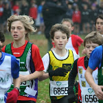 Veldloop Aalter