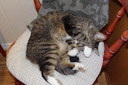 IMGP1057.JPG