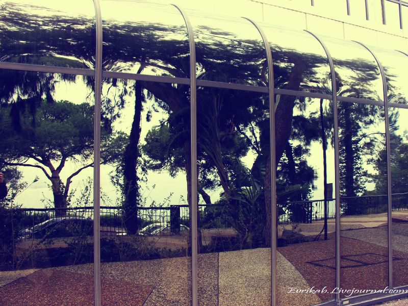 ЗИМНЯЯ ХАЙФА