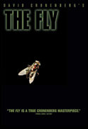 fly fly