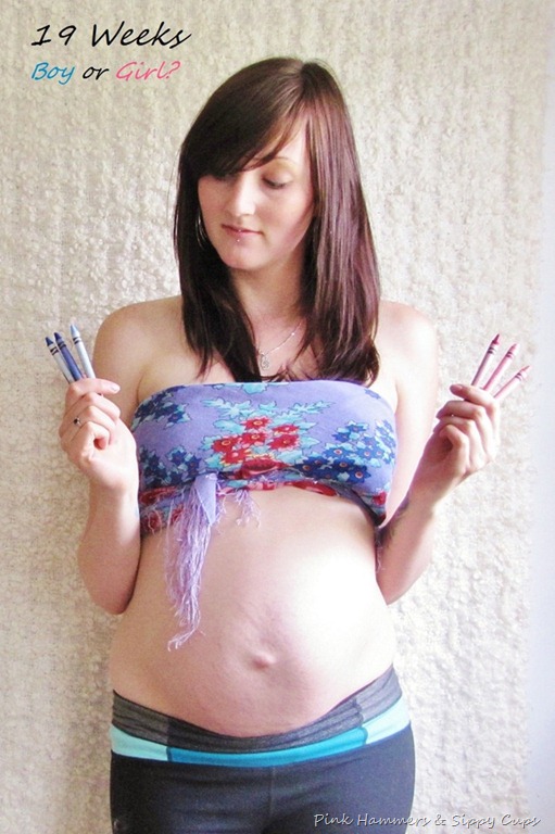[1-19-weeks-front1%255B10%255D.jpg]