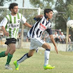 CSC_0319.jpg