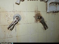 [ingenio%2520-%2520migallinero%2520%25286%2529%255B3%255D.jpg]