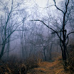 20090319 Velvia50_05-Edit.jpg