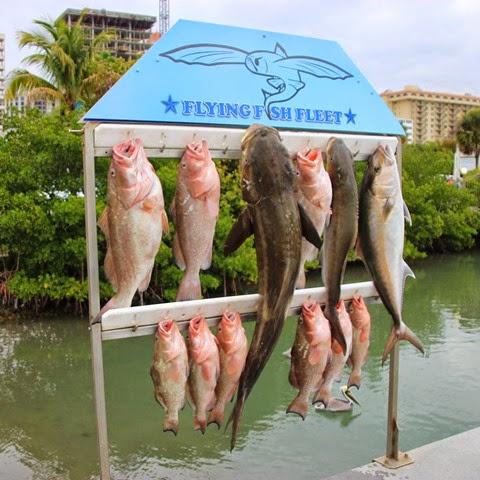 Sarasota Fish Sarasota Fish