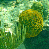 P5280626(rev 0).jpg P5280626(rev 0).jpg