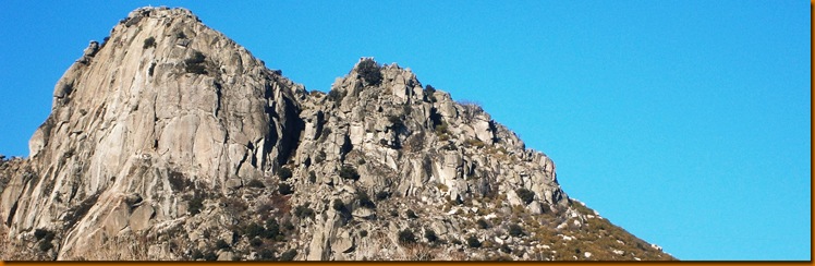 P2110002 P2110002