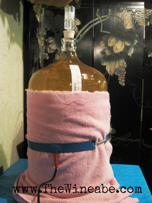 [wine%2520carboy%2520warming%2520make%2520wine%255B7%255D.jpg]