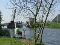 IMG_7879 IMG_7879