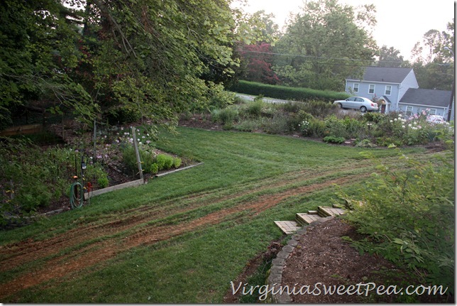 Lawn Damage1 Lawn Damage1