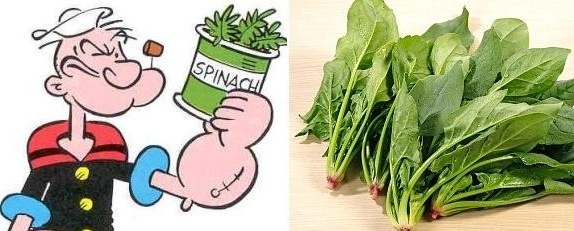 [popeye-spinach-health-benefits%255B5%255D.jpg]