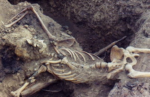 [clip_image016%255B3%255D.jpg]