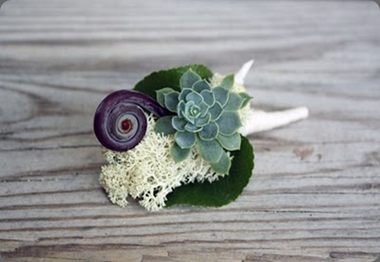 succulentbout pollen of austin