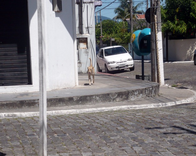 Fototiras #08.